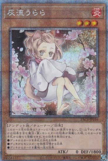 ڥץ쥤ѡۡڥ饹Ȱ㤤ͷ PAC1-JP016 ή (ܸ ץꥺޥƥååȥ쥢) PRISMATIC ART COLLECTION š