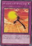 ڥץ쥤ѡͷ SD42-JP040 äȥӥ󥰡 (ܸ Ρޥ) STRUCTURE DECK  С쥤˥С  š