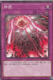 ڥץ쥤ѡͷ SR12-JP034 ȳ (ܸ Ρޥ) STRUCTURE DECK R  ȡ󥯥奢  š