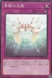 ڥץ쥤ѡͷ SR12-JP035 פθ (ܸ Ρޥ) STRUCTURE DECK R  ȡ󥯥奢  š