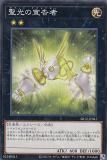 ڥץ쥤ѡͷ SR12-JP041  (ܸ Ρޥ) STRUCTURE DECK R  ȡ󥯥奢  š