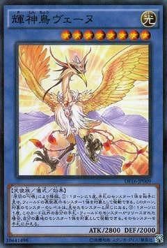 ڥץ쥤ѡͷ DF16-JP009 Ļ (ܸ Ρޥѥ) ǥ奨ꥹȥեƥХ2016 ץ⡼ѥåš