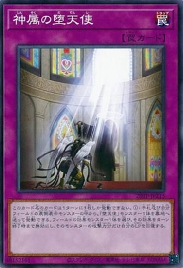 ڥץ쥤ѡͷ 20TP-JP215 °ŷ (ܸ Ρޥ) ȡʥȥѥå2020 Vol.2š