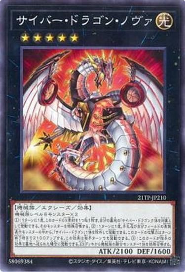 ڥץ쥤ѡͷ 21TP-JP210 Сɥ饴󡦥Υ (ܸ Ρޥ) ȡʥȥѥå2021 Vol.2š