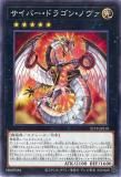 ڥץ쥤ѡͷ 21TP-JP210 Сɥ饴󡦥Υ (ܸ Ρޥ) ȡʥȥѥå2021 Vol.2š