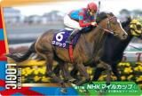 No.2-029.å 11NHKޥ륫å(GI)ۥ֥åɥۡ쥯 ĥ󥦥ϡ 2R