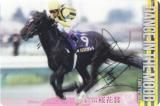 [⿧󲡤] No.2-019.󥹥󥶥ࡼ 64־(GI)ۥ֥åɥۡ쥯 ĥ󥦥ϡ 2R