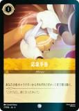 ڥեۥǥˡ 륫TCG 27/204JA4 ޼ (ܸ )