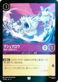 ڥեۥǥˡ 륫TCG 51/204JA4 ٤ε ޥޥ (ܸ 󥳥)
