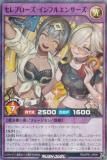 ͷ åǥ奨 RD/AP01-JP041 ֥ե륨󥵡 (ܸ ѡ쥢ѥ) ɥХ󥹥ѥå ǥӥ륺ˡ