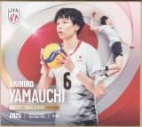 山内晶大 バレーボール男子日本代表 2025 直筆サイン入りボールカード 男子バレー日本代表 山内晶大 35枚数限定直筆サインカード含9枚
