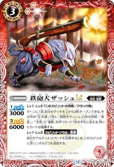 Хȥ륹ԥå BSC48-003 ŴˤåLT (R 쥢) ˥֡ С˥󥰥쥬