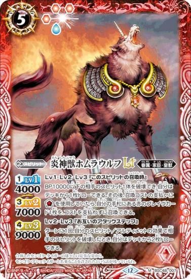 Хȥ륹ԥå BSC48-007 åۥ饦LT (M ޥ쥢) ˥֡ С˥󥰥쥬