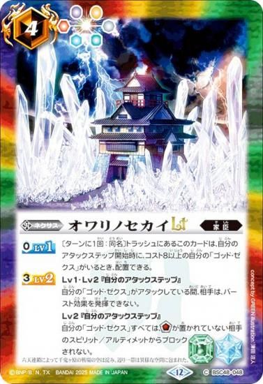 Хȥ륹ԥå BSC48-048 ΥLT (C ) ˥֡ С˥󥰥쥬