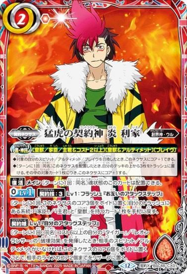 Хȥ륹ԥå BSC48-CX01 Ըפη   (X쥢) ˥֡ С˥󥰥쥬