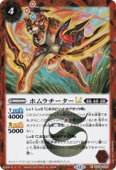 SECRETۥХȥ륹ԥå BSC48-005 ۥLT (C ) ˥֡ С˥󥰥쥬