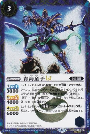 SECRETۥХȥ륹ԥå BSC48-024 ĳƸLT (C ) ˥֡ С˥󥰥쥬