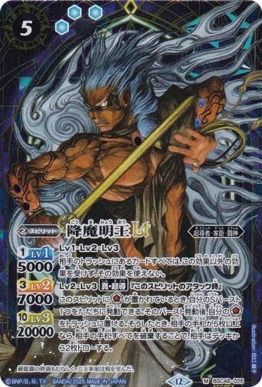 SECRETۥХȥ륹ԥå BSC48-025 LT (M ޥ쥢) ˥֡ С˥󥰥쥬