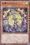 遊戯王　絢嵐　アジア版高レアセット 遊戯王 絢嵐 アジア版高レアセット | 遊戯王OCG デュエル