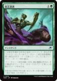 ޥå㥶 EOE JP 0176 ܶ (ܸ 󥳥) ױνü (MTG)