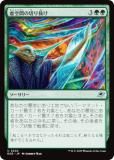 ޥå㥶 EOE JP 0202 ֤ڤȴ (ܸ 󥳥) ױνü (MTG)