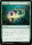 ޥå㥶 EOE JP 0206 դ줿 (ܸ ) ױνü (MTG)