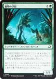FOILۥޥå㥶 EOE JP 0184 ε (ܸ ) ױνü (MTG)