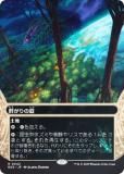 FOIL/ܡ쥹ǡۥޥå㥶 EOS JP 0042  (ܸ 쥢) ױνü (MTG)
