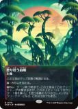 ڥ饯FOIL/ܡ쥹ǡۥޥå㥶 EOS JP 0170 ܤ궸 (ܸ 쥢) ױνü (MTG)
