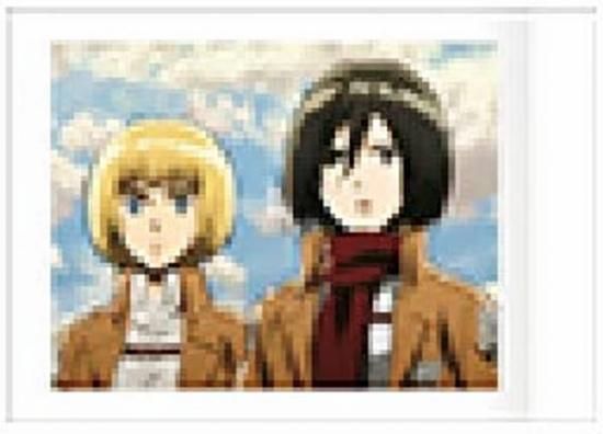 ミカサ・アッカーマン　 アルミン・アルレルト　進撃の巨人　クリアカード 08 アルミン・アルレルト＆ミカサ・アッカーマン】進撃の巨人
