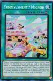遊戯王【海外版】のトレカ（TCG）通販なら REALiZE トレカ&ホビー