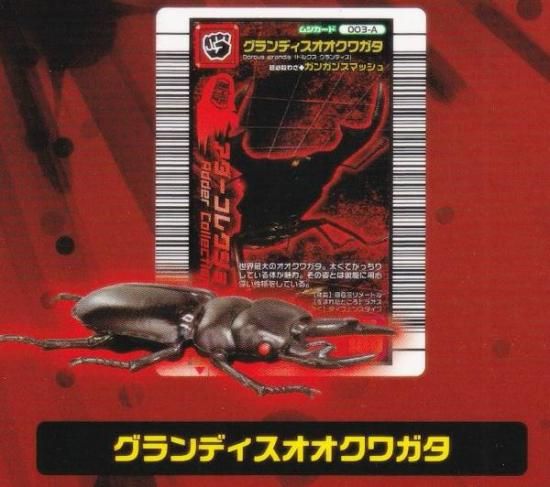 PSA10　グランディスオオクワガタ　アダーコレクション　ダイナミックスタンド PSA10 グランディスオオクワガタ アダーコレクション