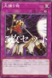 3祻åȡͷ DBPR-JP015 ʪ (ܸ Ρޥ) ǥåӥɥѥå եȥࡦ٥󥸥㡼