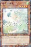 3祻åȡͷ DBPR-JP028 ΢ (ܸ Ρޥѥ) ǥåӥɥѥå եȥࡦ٥󥸥㡼
