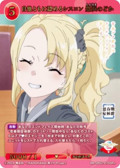 BR 自他ともに認めるシスコン 豊浜のどか ビルディバイド ブライト BR 自他ともに認めるシスコン 豊浜のどか ビルディバイド