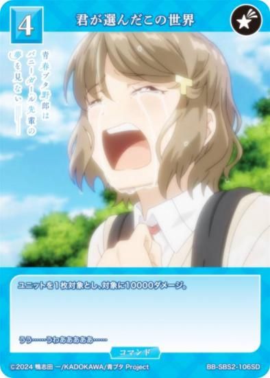 ӥǥХTCG ֥饤 BB-SBS2-106SD  (SD)