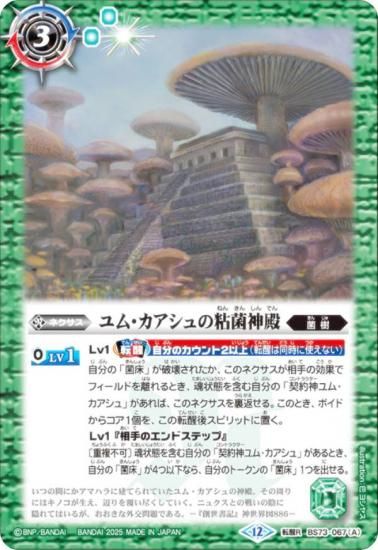 バトスピ　天地転世　ユムカアシュ　3コンセット 天地転世 ユムカアシュ 3コンセット 菌樹