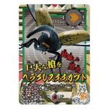 3.إ饯쥹֥ȡۺǶ޴ -The Ultimate Battles- ߥ˥奢ɥ