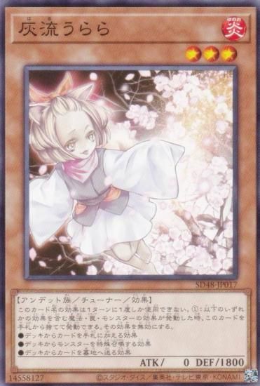 ͷ SD48-JP017 ή (ܸ Ρޥ) ȥ饯㡼ǥå ѥ֡ե