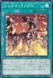 ͷ SD48-JP022 󥯥֥ (ܸ Ρޥ) ȥ饯㡼ǥå ѥ֡ե