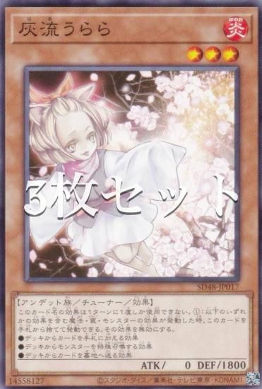 3祻åȡͷ SD48-JP017 ή (ܸ Ρޥ) ȥ饯㡼ǥå ѥ֡ե