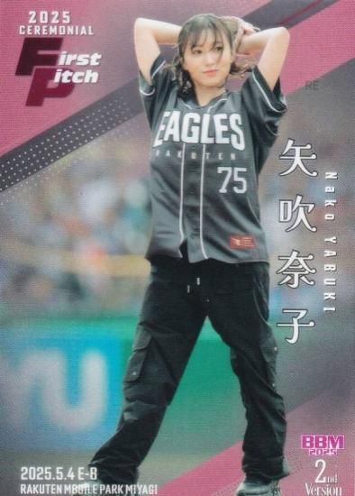 ڶ 165/200BBM ١ܡ륫 FP20  ͥ (쥮顼/ϵ弰) 2025 2ndС