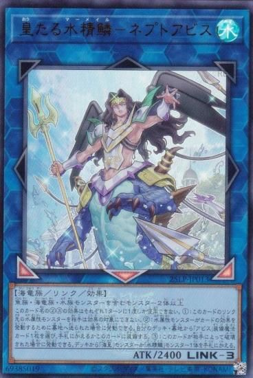 WCS2025Ver.ͷ 25LP-JP013 Ĥڡݥͥץȥӥ (ܸ ȥ쥢)