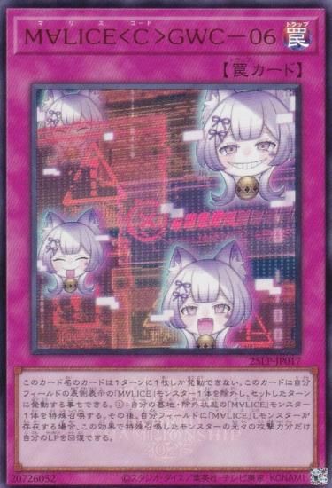 WCS2025Ver.ͷ 25LP-JP017 ͢ϣ̣ɣãšáǣףáݣ (ܸ ȥ쥢)