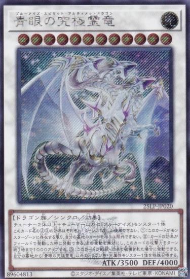 WCS2025Ver.ͷ 25LP-JP020 Ĵεε (ܸ åȥ쥢)