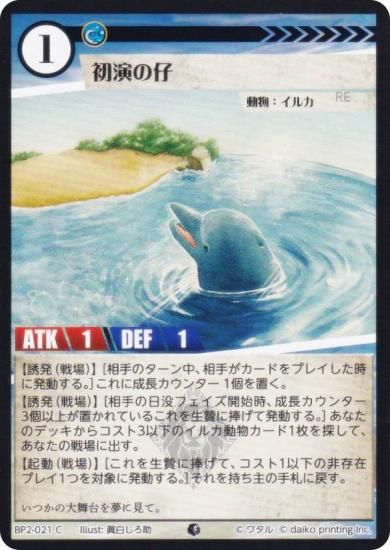 ˥ޥ륫ɥ BP2-021 λ (C ) ֡ѥå ̿ʪ