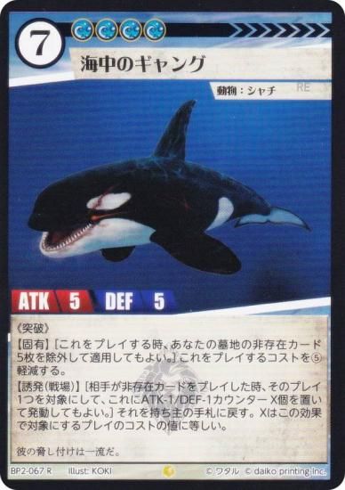 ˥ޥ륫ɥ BP2-067 Υ (R 쥢) ֡ѥå ̿ʪ