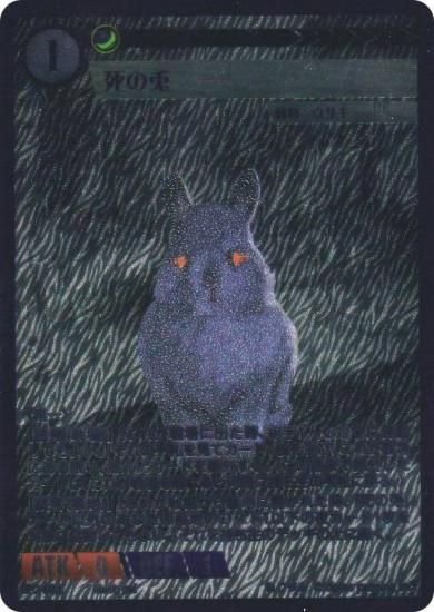 ˥ޥ륫ɥ BP2-PR4  (PR ץ) ֡ѥå ̿ʪ ȥPRɥѥåϿ