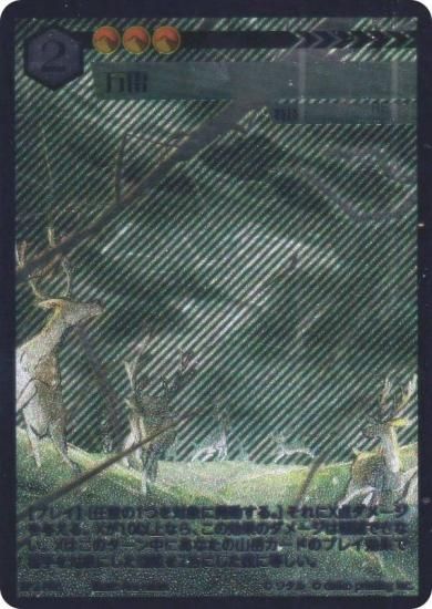 ˥ޥ륫ɥ BP2-PR6  (PR ץ) ֡ѥå ̿ʪ ȥPRɥѥåϿ