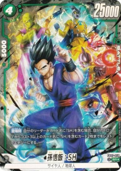 ڥѥۥɥ饴ܡ륹ѡɥ FB07-058 ¹ӡSH (SR ѡ쥢) ե塼 ֡ѥå ζؤδꤤ